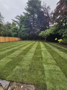 P & N Groundworks